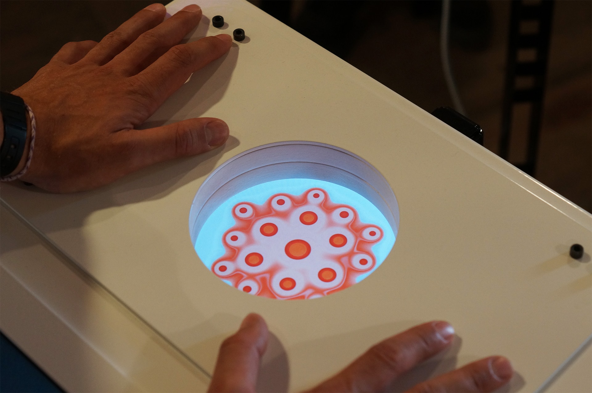 Hands on a device that shows an abstract form of life.